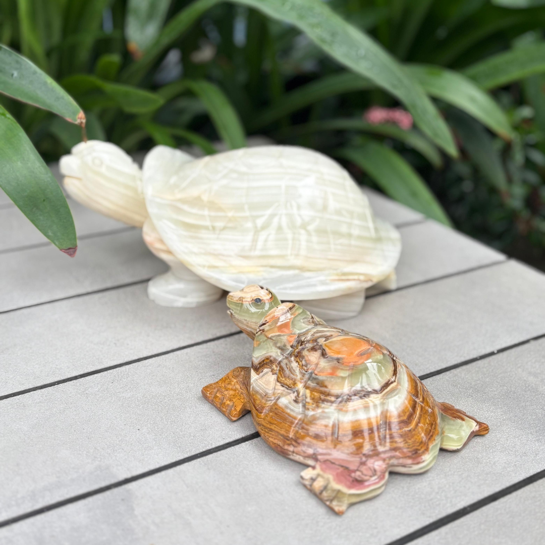Marble Tortoise Showpiece