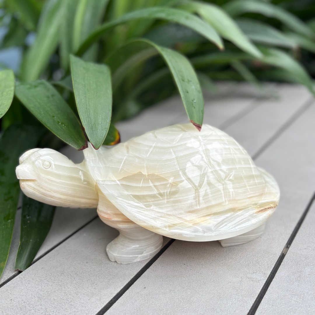 Marble Tortoise Showpiece
