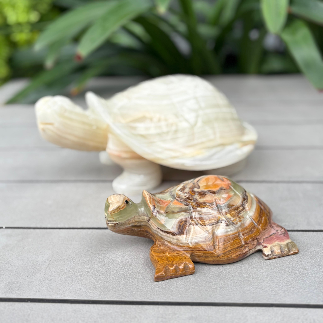Marble Tortoise Showpiece