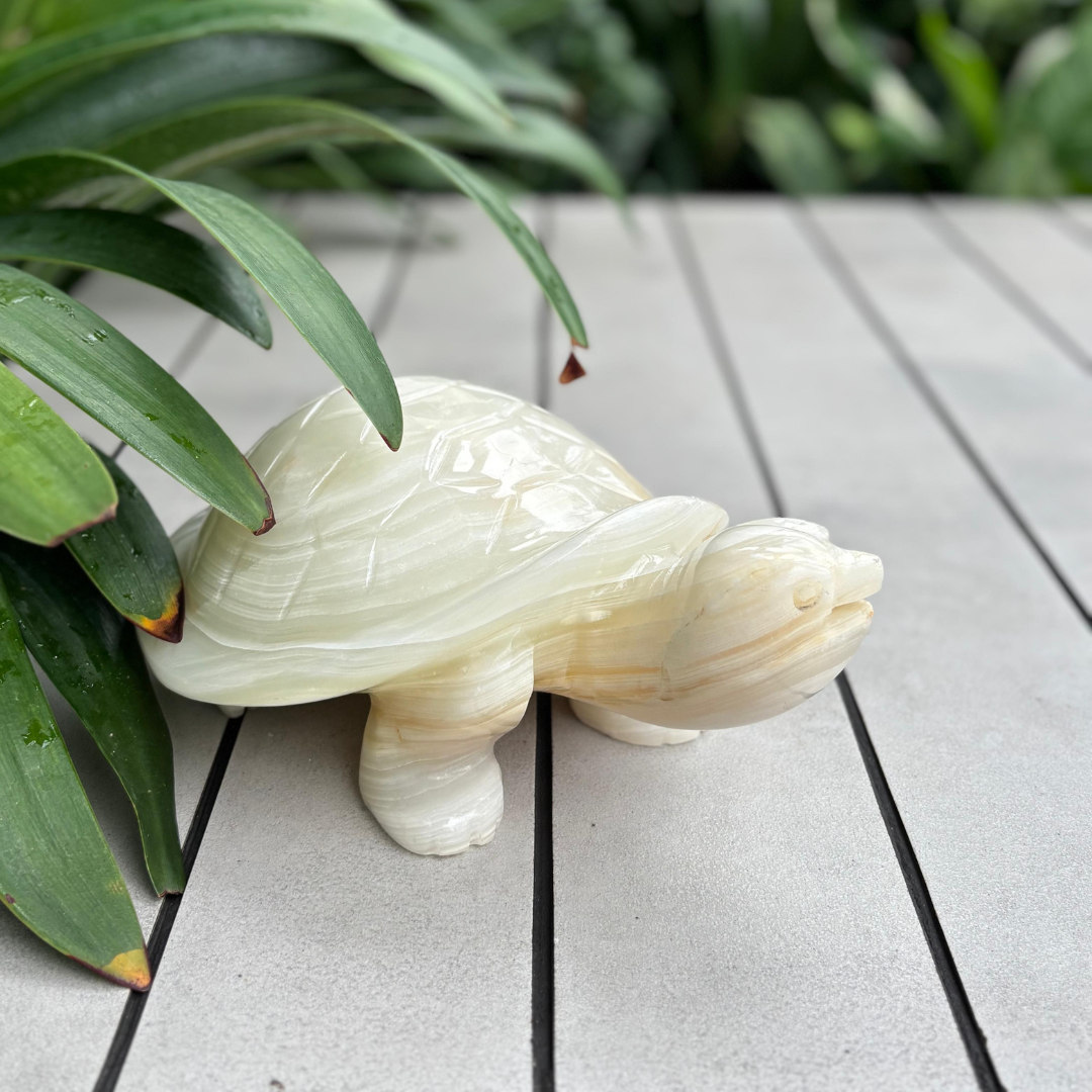 Marble Tortoise Showpiece