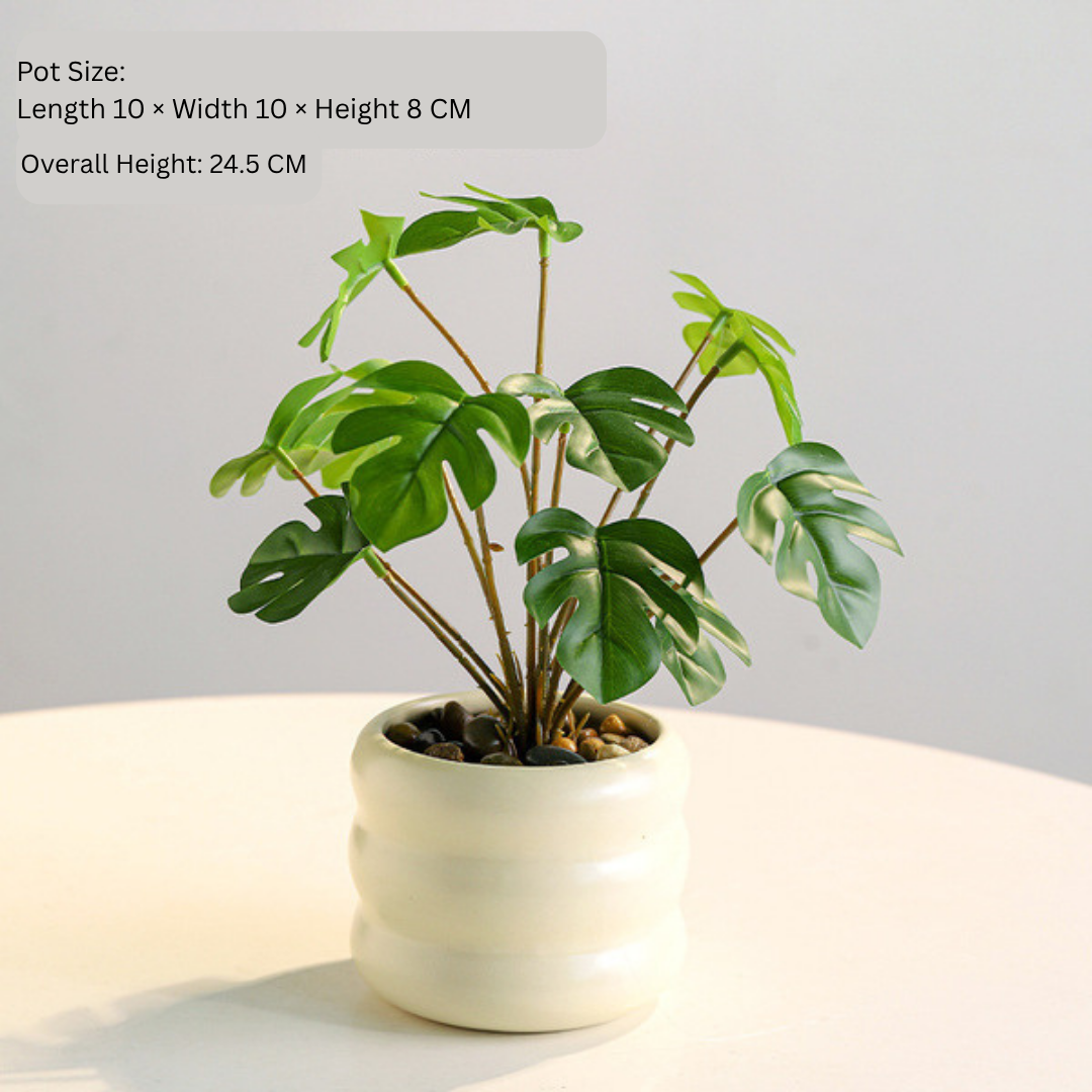 Small Monstera Green Plant- Artificial