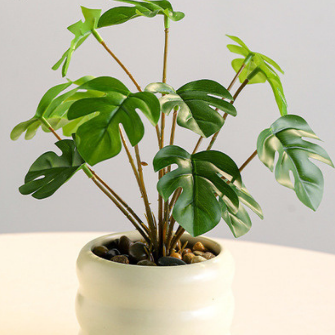 Small Monstera Green Plant- Artificial
