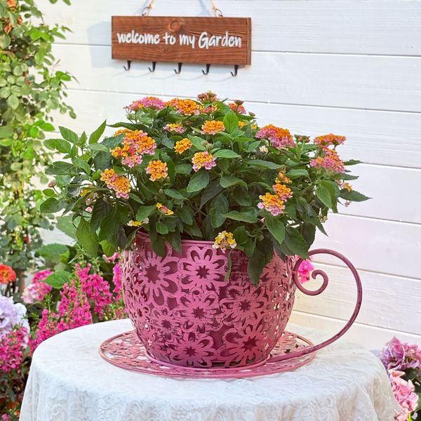 Metal Tea Cup Plant Holder