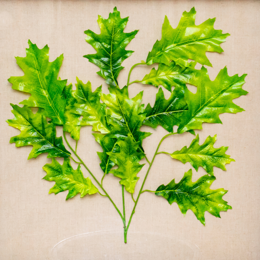 Wooden Decorative Wall Craft