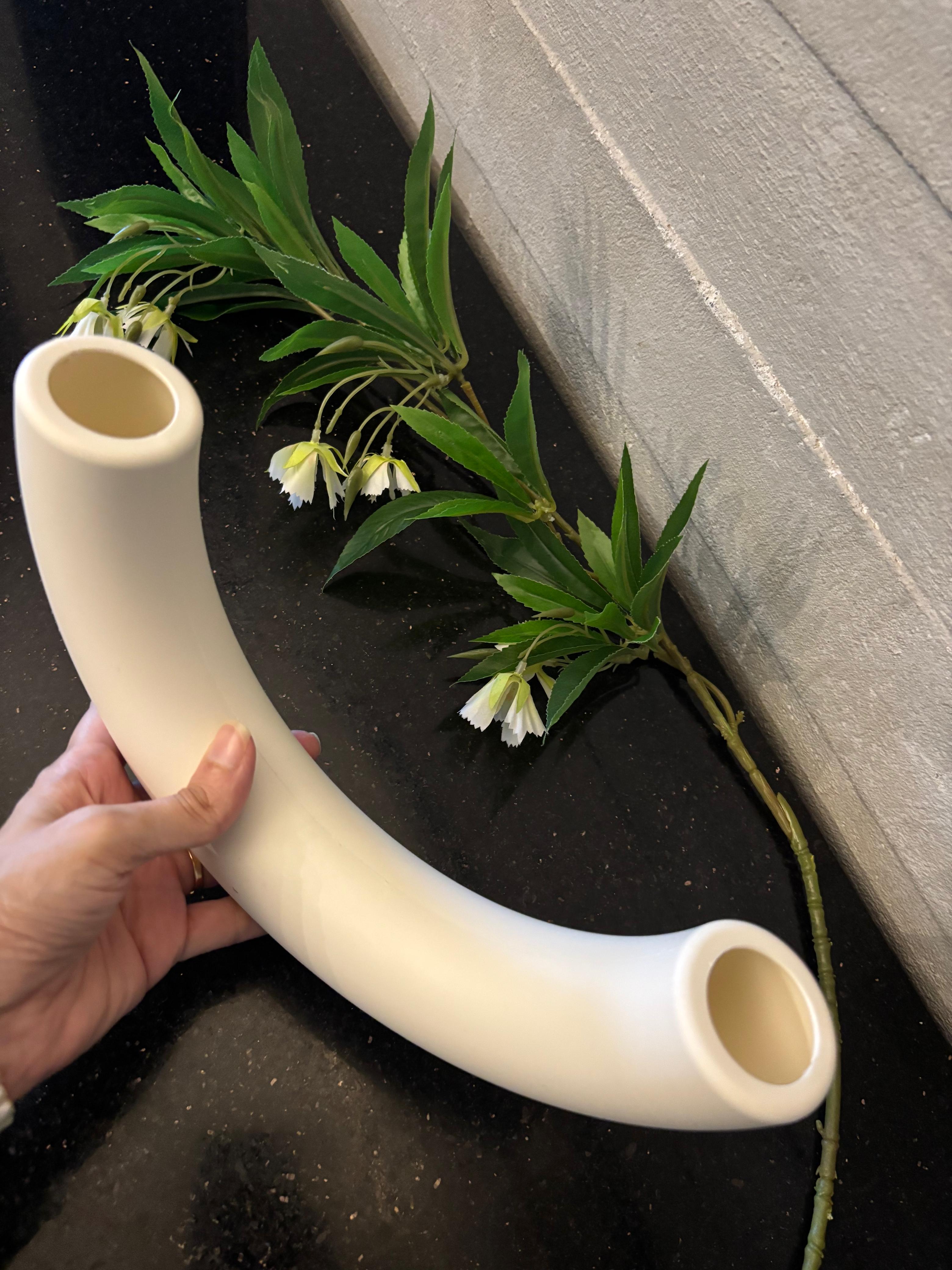 Tube Vase & Flower Stem