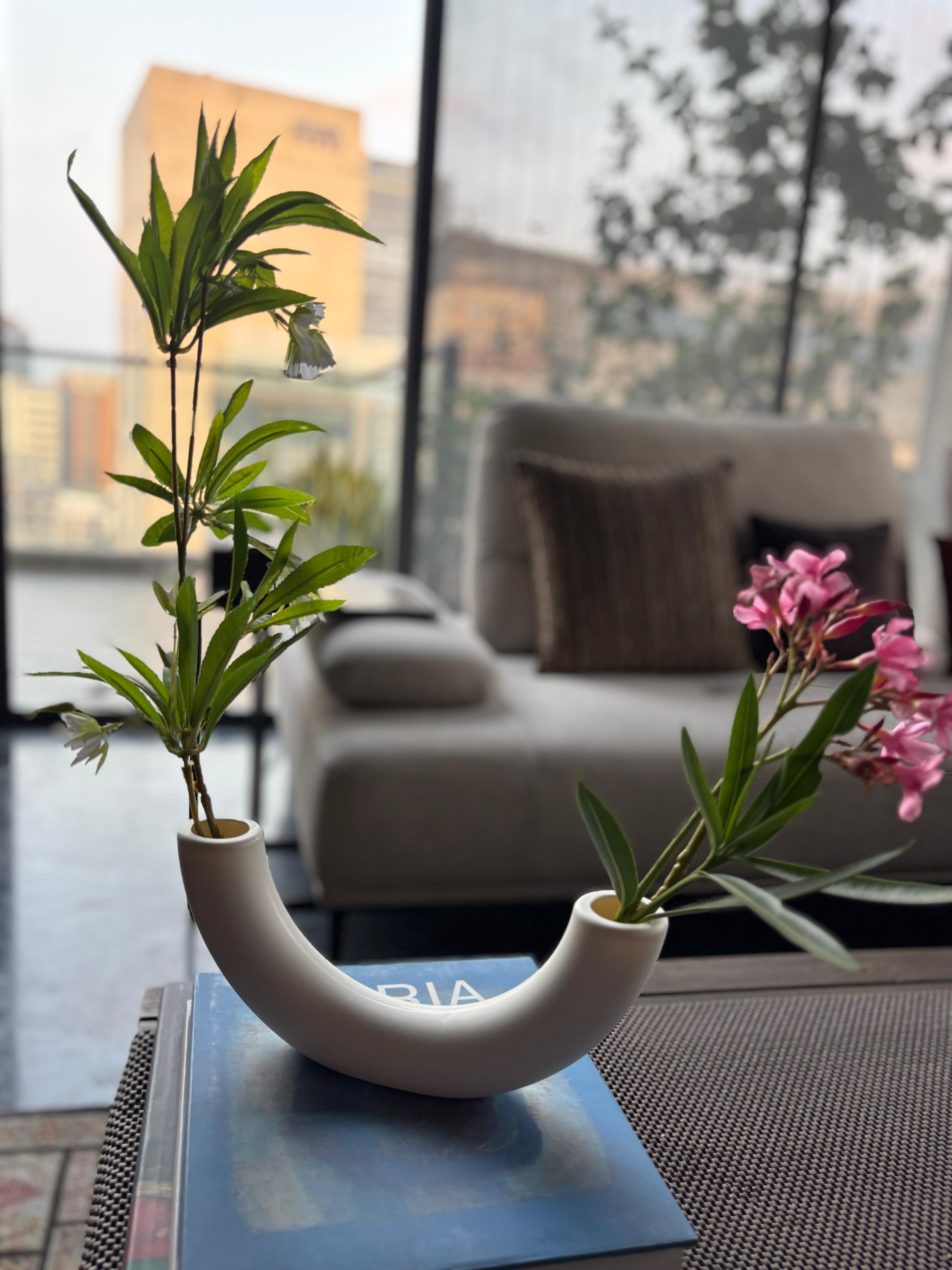 Tube Vase & Flower Stem