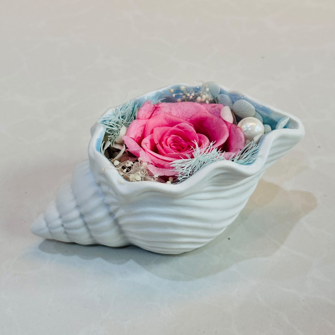 Rose in a Seashell/Conch