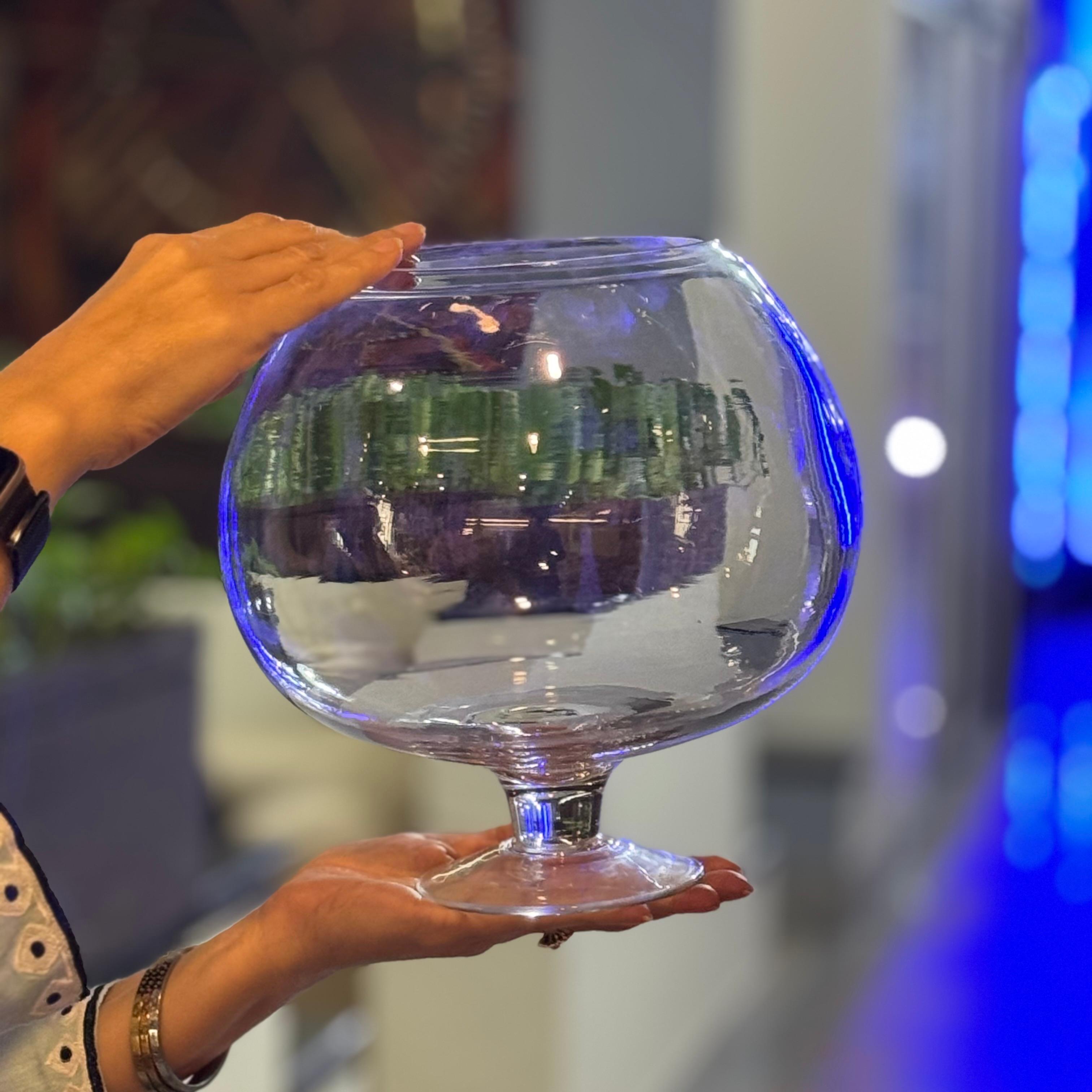 Transparent fish bowl- shaped glass vase